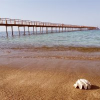 LAZULI MARSA ALAM