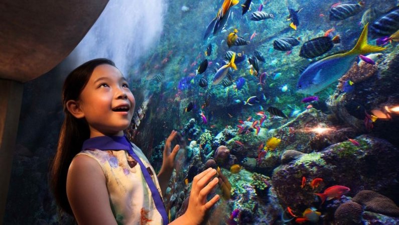 ATLANTIS THE PALM