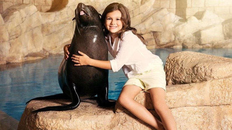 ATLANTIS THE PALM
