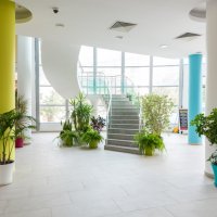 Ivana Palace