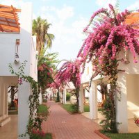 Hotel Club Kastalia