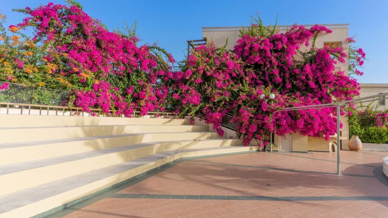 Hotel Hydramis Palace Beach Resort