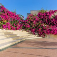 Hotel Hydramis Palace Beach Resort