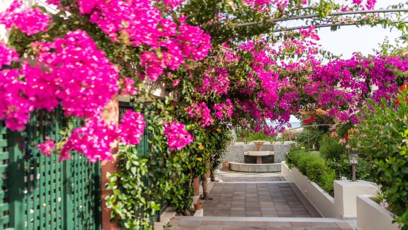 Hotel Hydramis Palace Beach Resort
