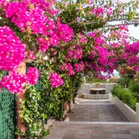 Hotel Hydramis Palace Beach Resort