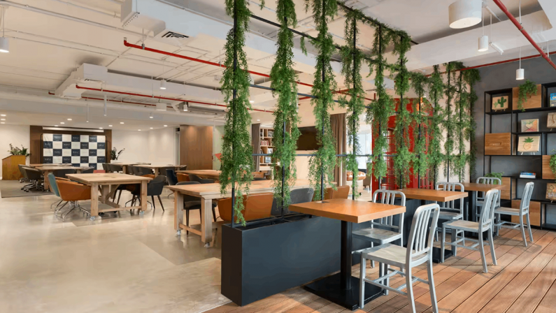TRYP by Wyndham Dubai