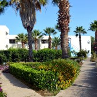 Hotel Muses 
